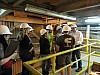 IMG_1696.jpg